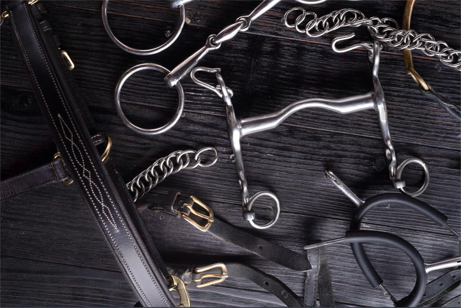 Choosing a New Bit.jpg